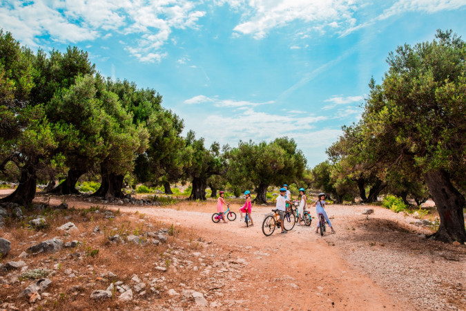 Discover the magic of the Lun olives, Figurica - Island Pag Lun - House for rent Lun
